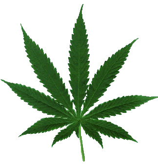 Weed Leaf